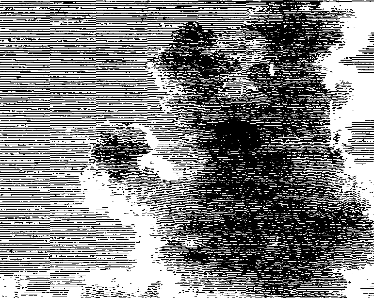 060/060400010100760_1.png