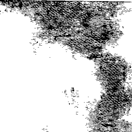 060/060400010101640_0.png
