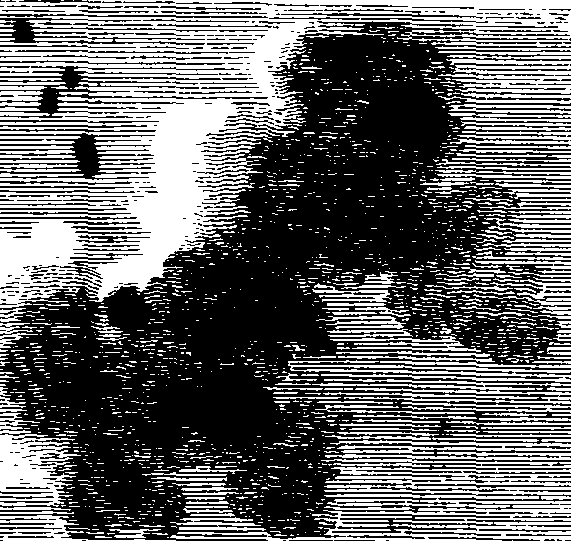 060/060400010102730_0.png