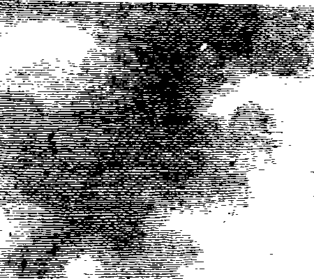 060/060400010200250_1.png