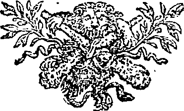 060/060500020100100_0.png