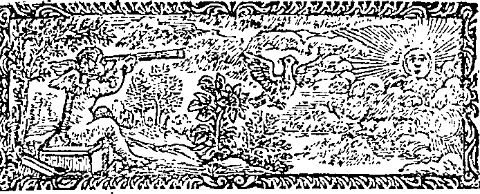 060/060500020100240_0.png