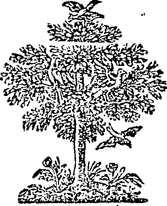 060/060500020101580_0.png