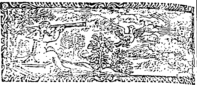 060/060500020102070_0.png