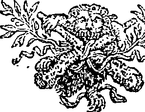 060/060500020103680_0.png