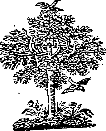 060/060500020200090_0.png