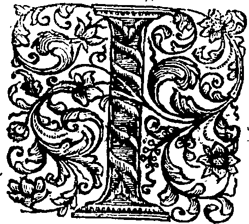 060/060510060000020_2.png