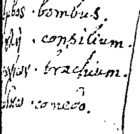 060/060510190002090_0.png