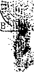 060/060530070000020_0.png