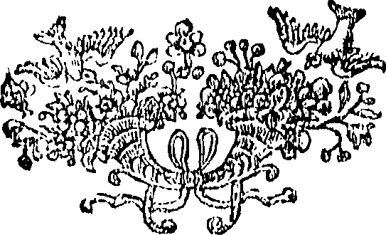 060/060610010005540_0.png