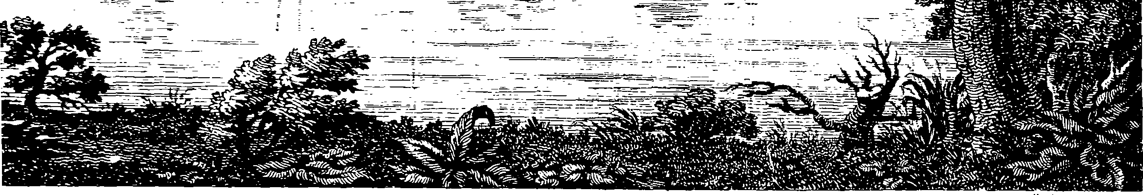 060/060660040103980_0.png