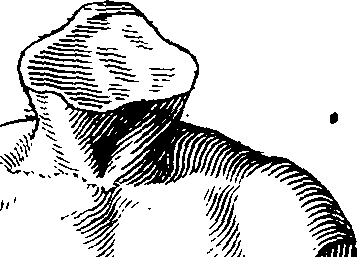 060/060670010500020_1.png