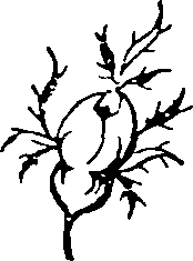 060/060740040002610_0.png