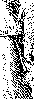 060/060840090001100_0.png