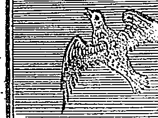 060/060850080000010_1.png
