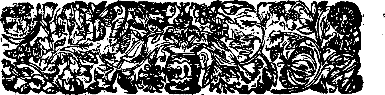 060/060900090000020_1.png