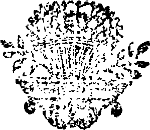 060/060980130002450_0.png