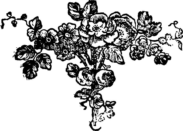 061/061010100103700_0.png