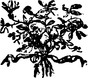 061/061010100105650_0.png