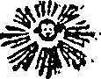 061/061020010202870_0.png