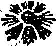 061/061020010300570_0.png
