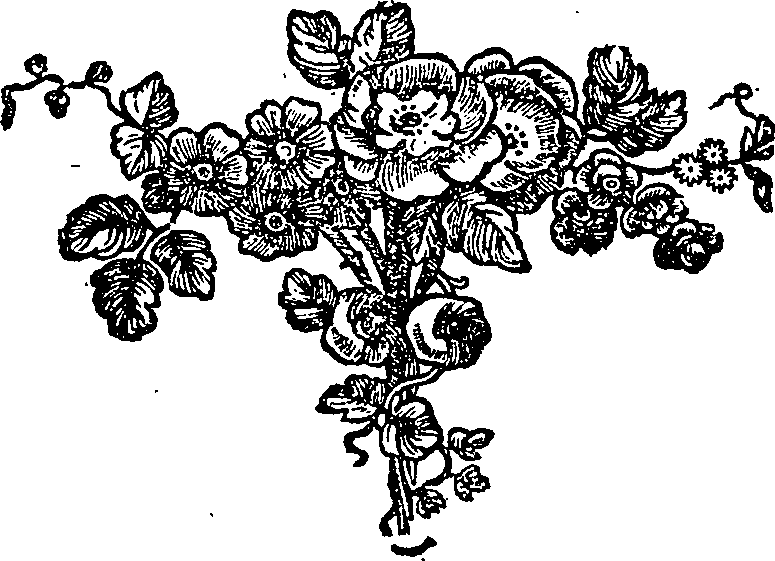 061/061020010306350_0.png