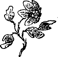 061/061050080000070_0.png