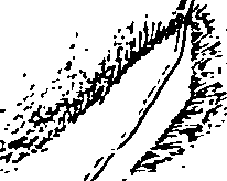 061/061050080003560_1.png