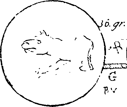 061/061110020000450_4.png