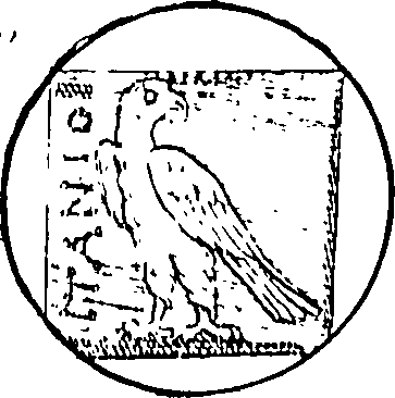 061/061110020000520_1.png