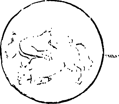 061/061110020000550_1.png