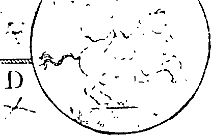 061/061110020000550_4.png