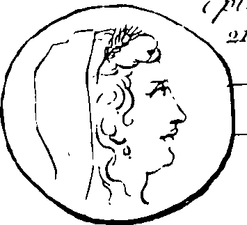 061/061110020000780_3.png
