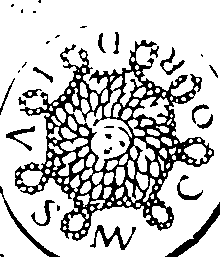 061/061110020001470_10.png