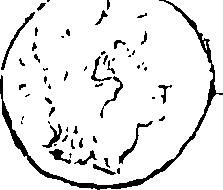 061/061110020001640_3.png