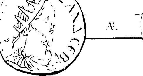 061/061110020001800_0.png