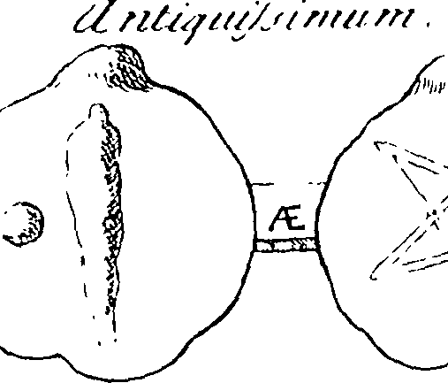 061/061110020002620_4.png