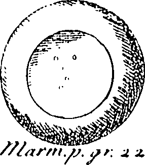 061/061110020002730_0.png