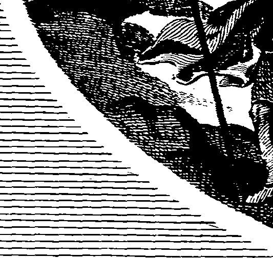 061/061130010000950_0.png