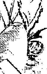 061/061130010006380_0.png