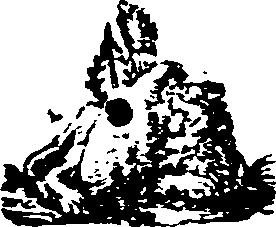 061/061140040001540_0.png