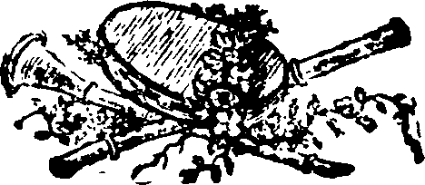 061/061140040001810_0.png