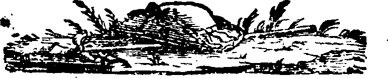 061/061140040002590_1.png