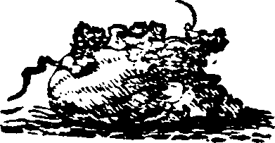 061/061140040002800_0.png