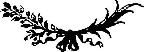 061/061150140002310_0.png