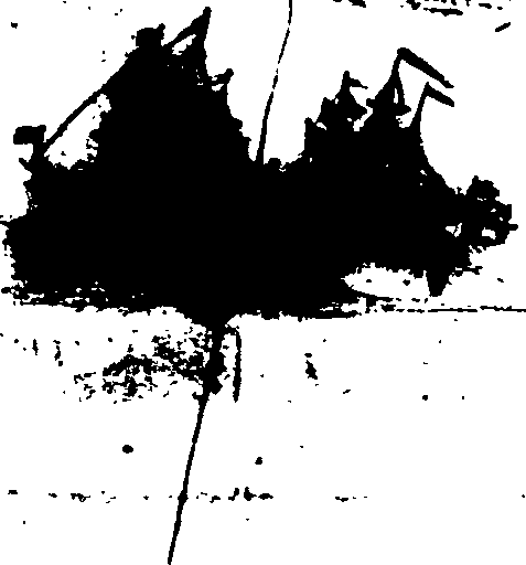 061/061180080000030_1.png