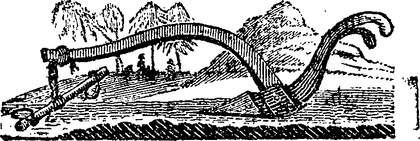 061/061210040400750_0.png