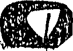 061/061220010105860_0.png