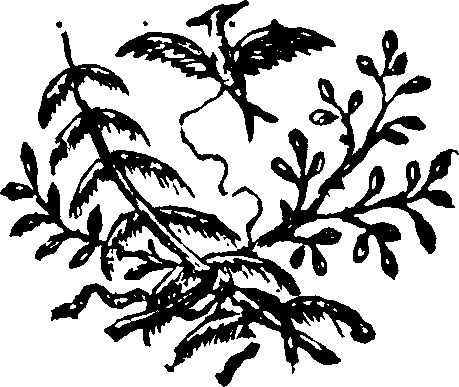 061/061240010003660_0.png