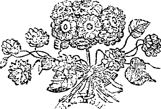 061/061270080001440_0.png